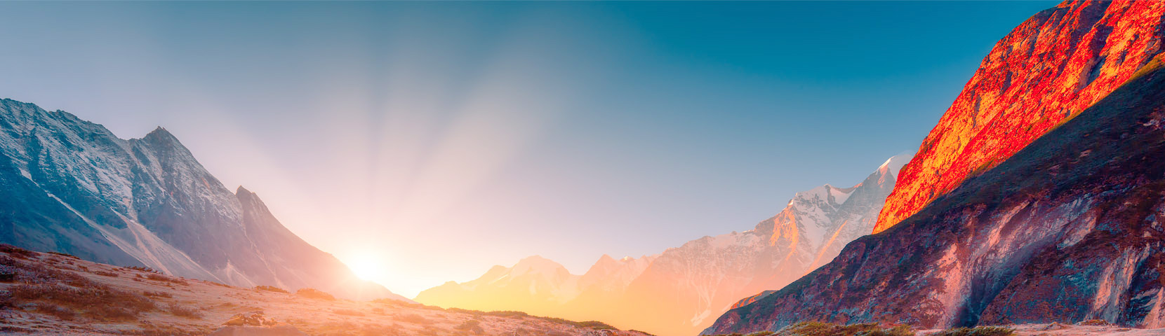 关于云顶集团app